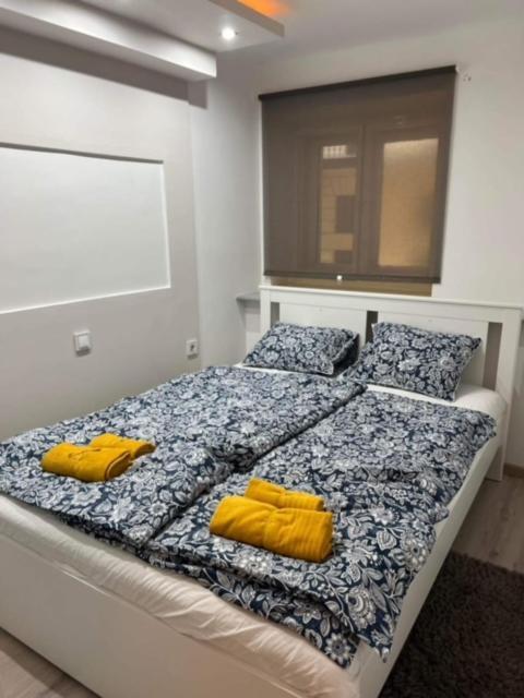 Apartament Raday Street Heven Budapeszt Zewnętrze zdjęcie
